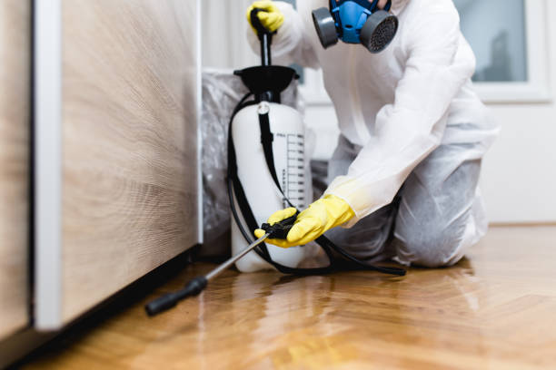 Best Affordable Pest Control Services  in Tillamook, OR