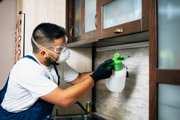 Best Best Pest Control Companies  in Tillamook, OR