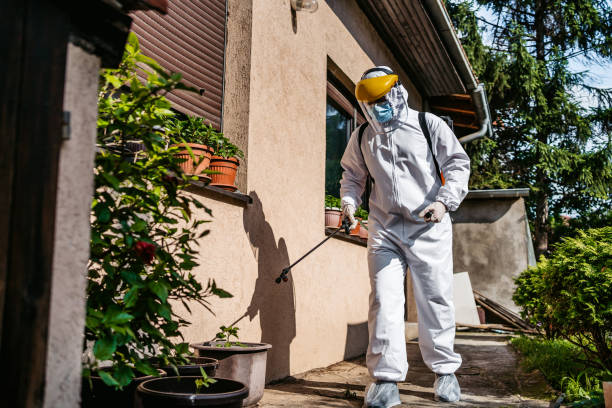 Best Affordable Pest Control Services  in Tillamook, OR