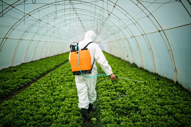 Best Emergency Pest Control  in Tillamook, OR