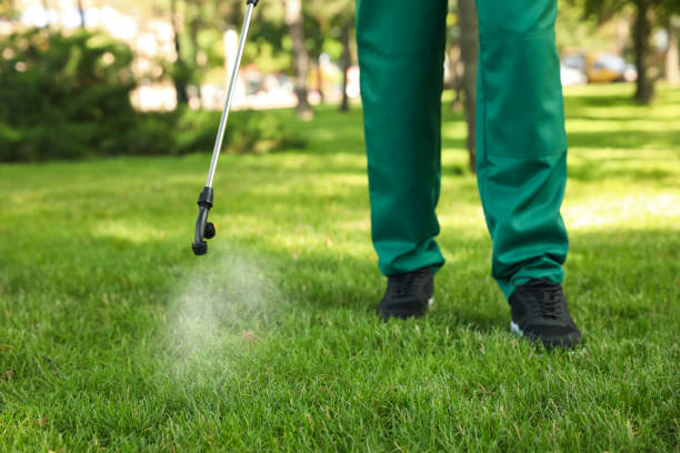 Best Residential Pest Control  in Tillamook, OR