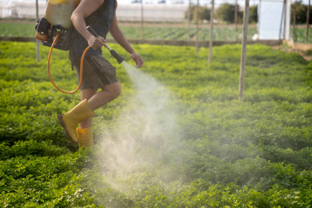 Best Pest Control Near Me in Tillamook, OR