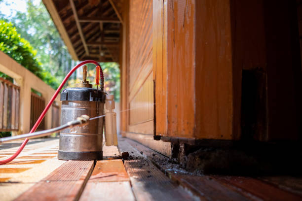 Best Pest Removal Services  in Tillamook, OR