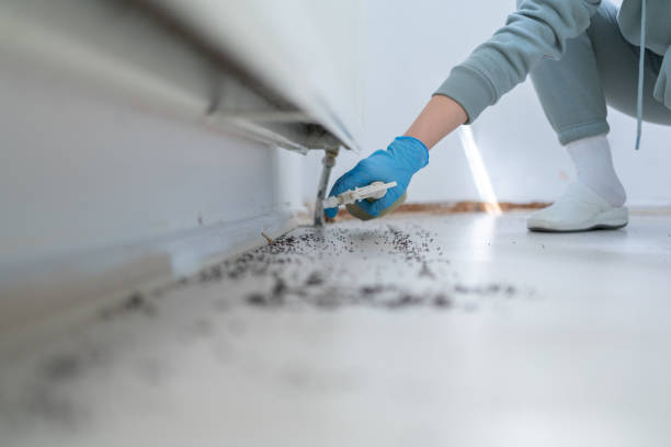 Best Pest Prevention Services  in Tillamook, OR